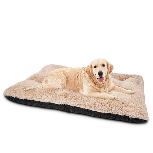 Joejoy large dog - joejoy,